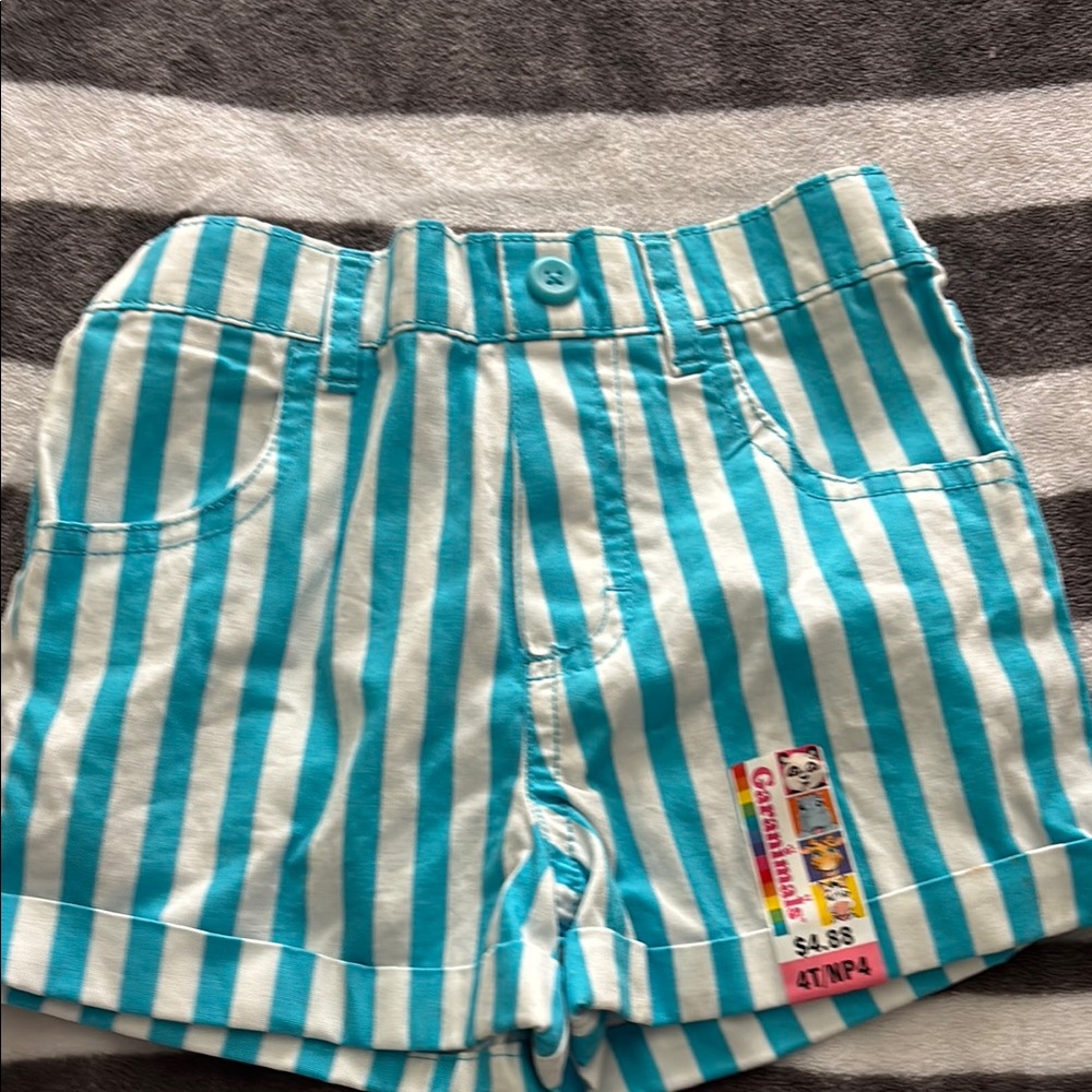 Garanimals Teal and White Striped Kids Shorts